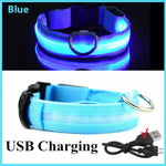 Blue USB rechargeable LED dog collar with reflective strip.