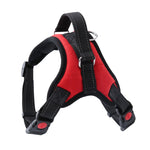 Red and black padded dog harness with adjustable straps, quick-release buckles, and a metal D-ring for leash attachment.