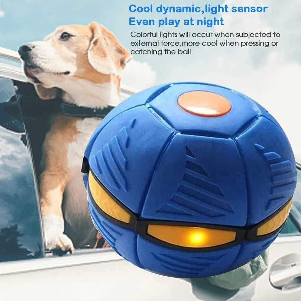 Pet Toy Flying Ball