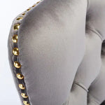 Gray glove with gold studs on a white background