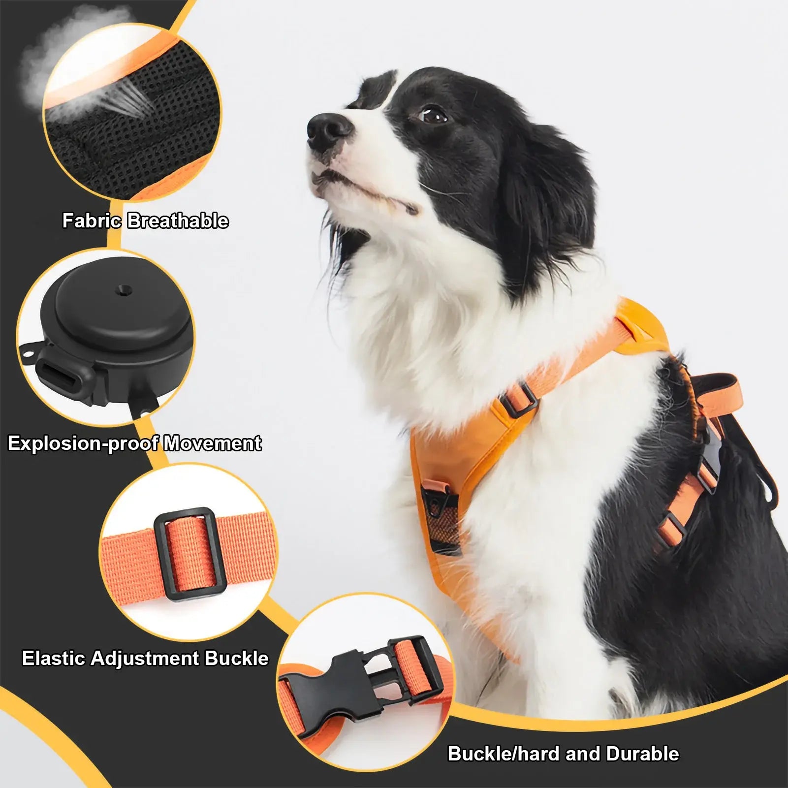 angle-free retractable dog leash