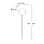 Dimension diagram of a clear glass swan plant watering globe, showing approximate measurements of 24.5 cm total height, 10 cm width, and 8 cm swan head size.