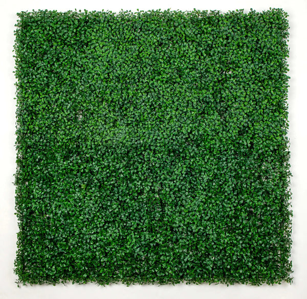 Artificial Boxwood Green Wall