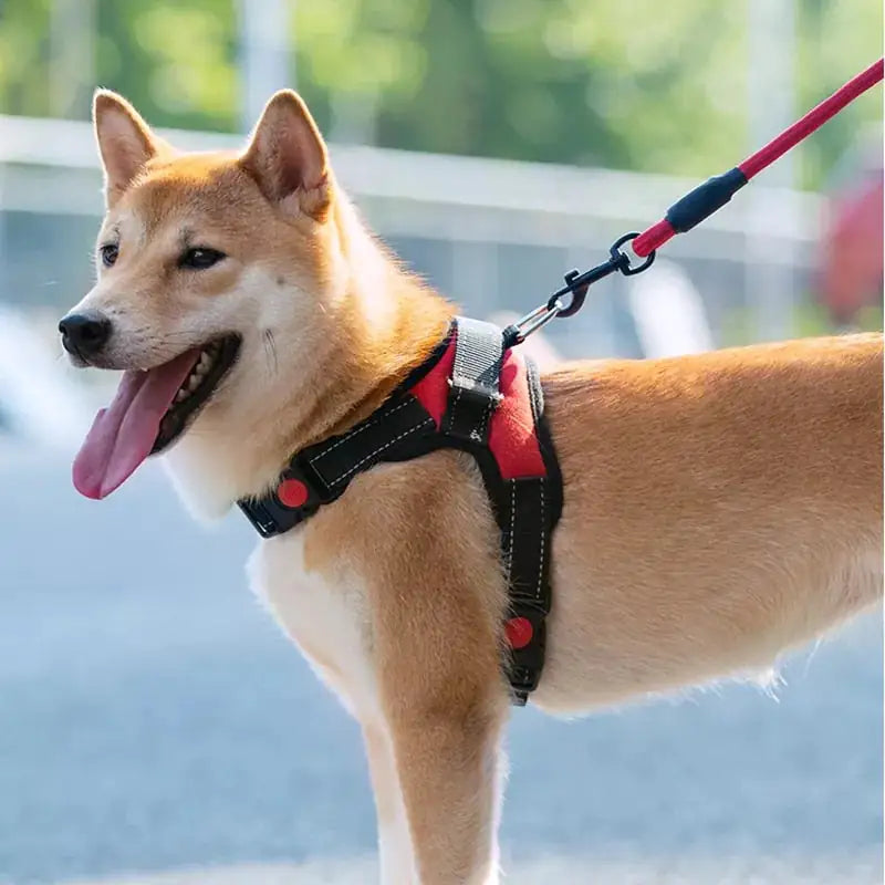 Pet Comfort Adjustable Walking Harness