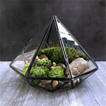 Jewel Garden
