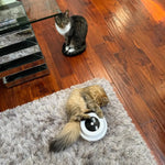 STOMART.CO.UK Automatic Feather Fun Ball Toy cats Free Text