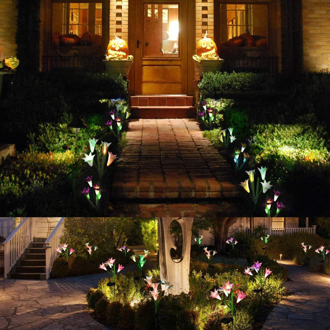 Eco-Sensitive Solar Floral Lights