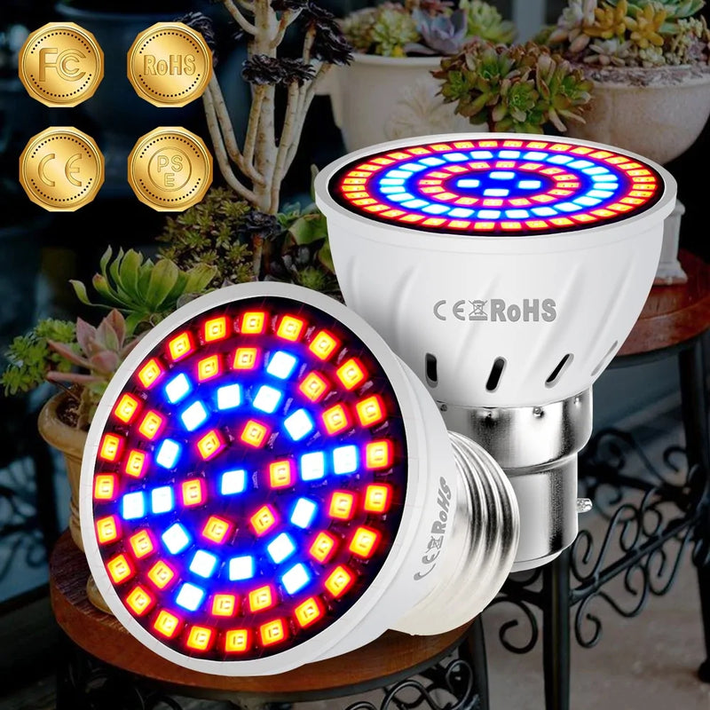 Phyto Led B22 Hydroponic Growth Light