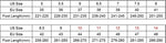 Men's Innovative Blade Sock Fashion Trainers Size Chart