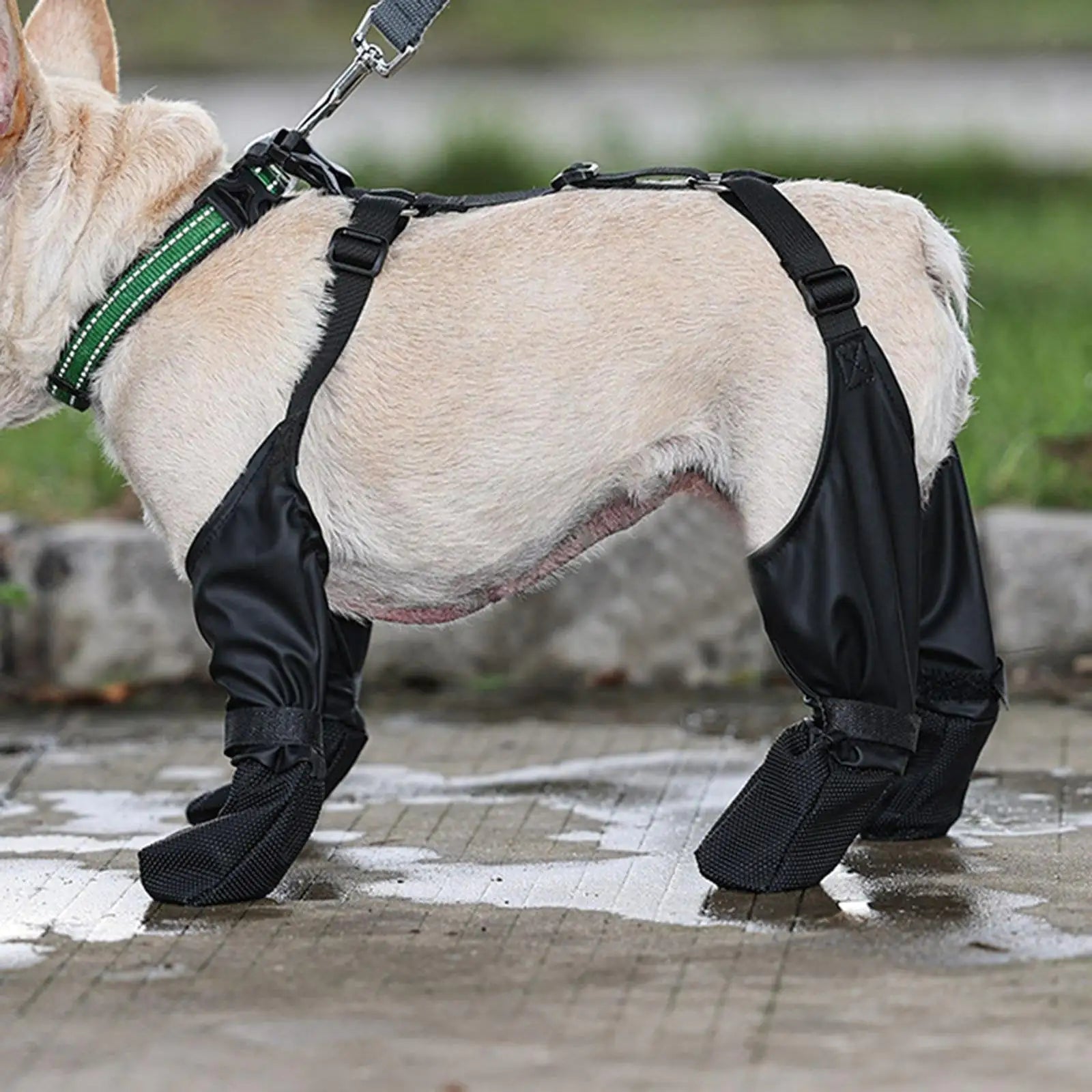 Dogs Paw Protection Suspender Boots