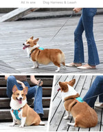 Foldable Anti-Pull Pup Leash