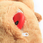 Heartbeat Pet Behavioural Training Toy