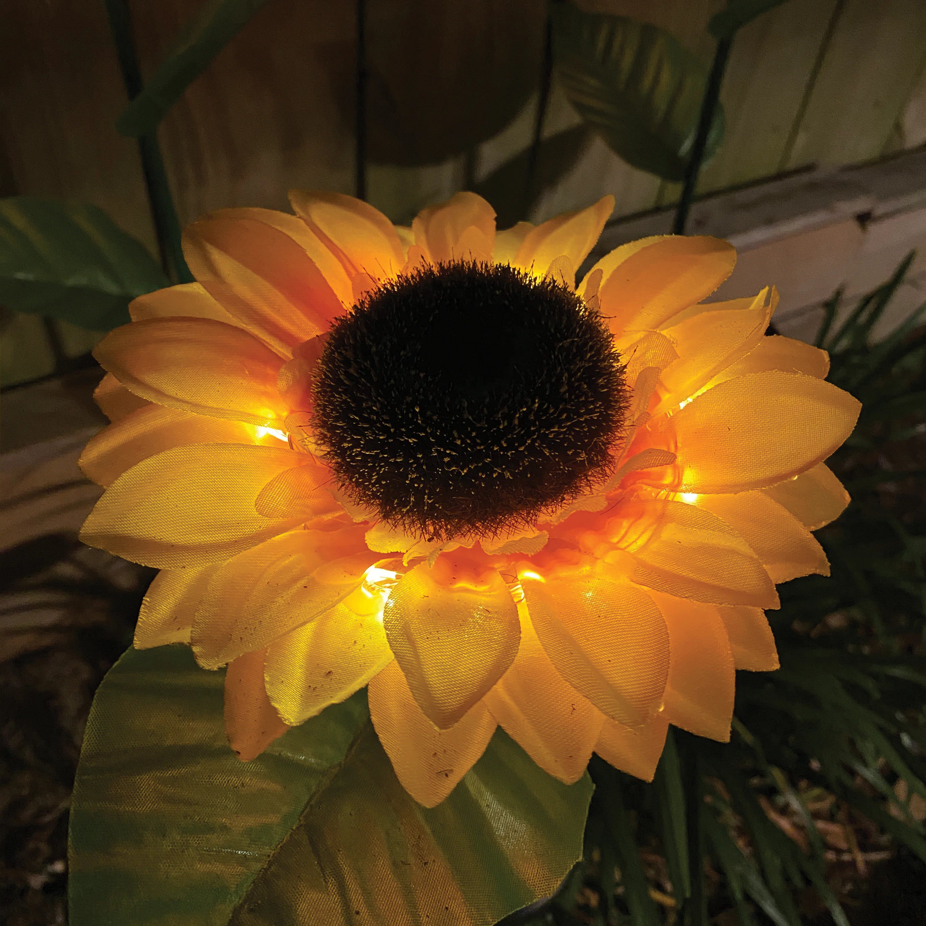 Illuminating Solar Sunflowers Set