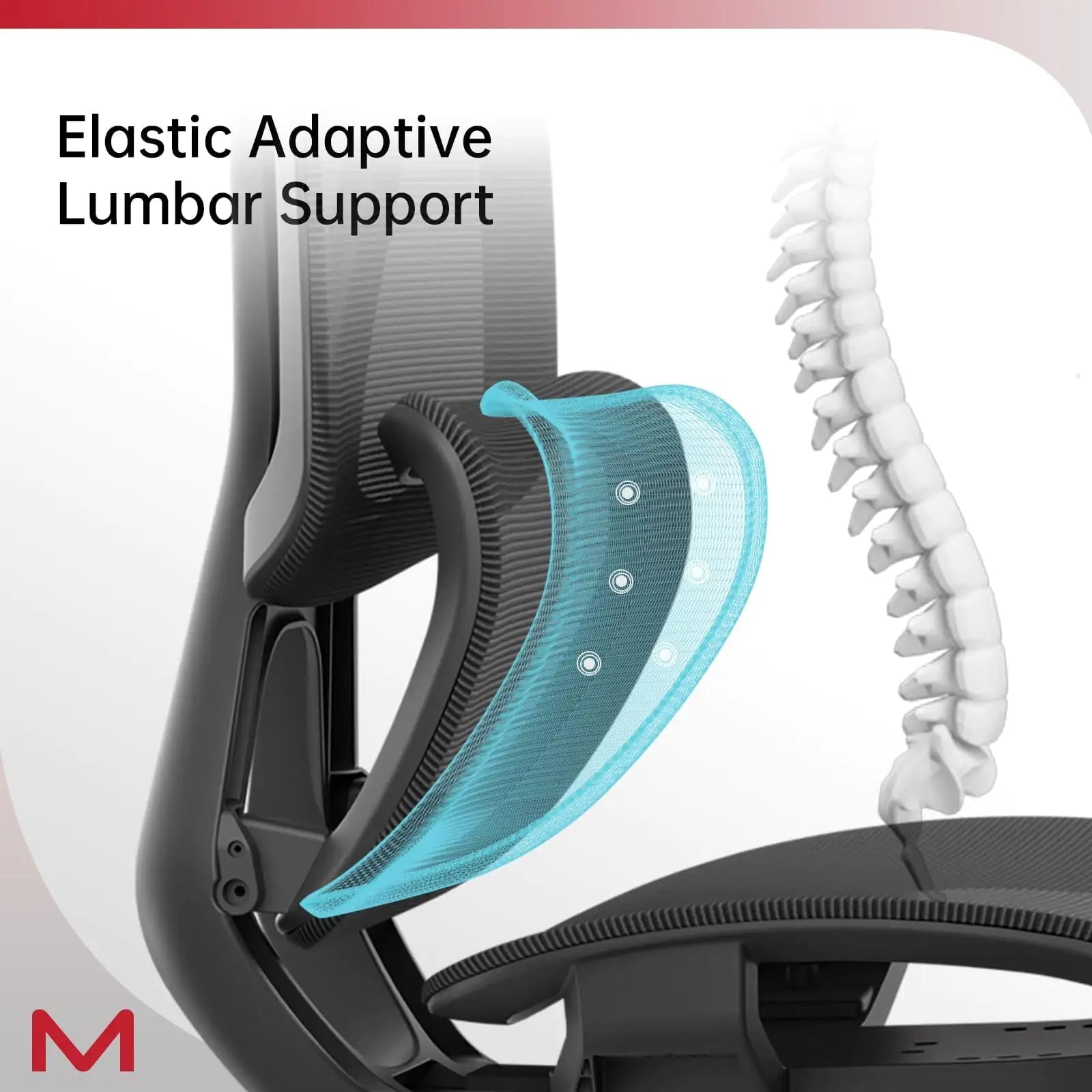 Elastic adaptive lumbar support feature on a chair with a spine illustration.