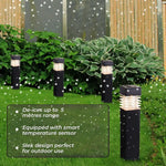 Outdoor solar light for winter
