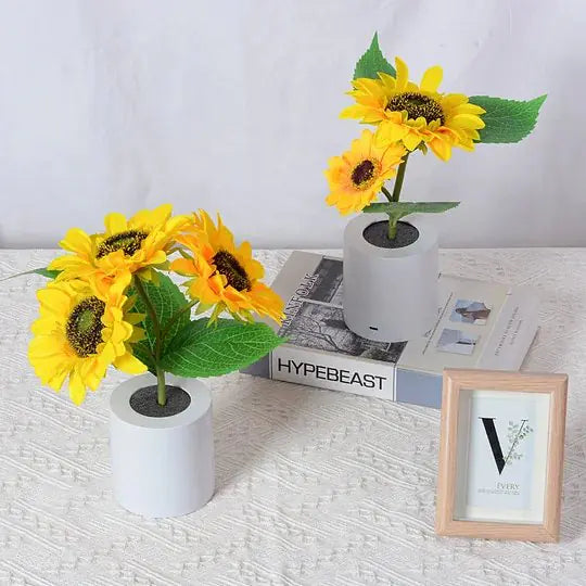 sunflower with bright yellow petals on a white background