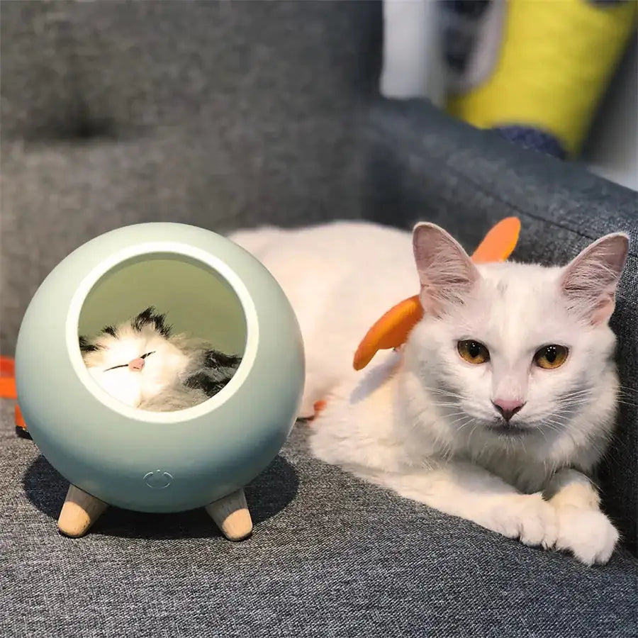 Cat LED Relax Light House