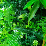 Wild Tropics Artificial Plant Vertical Garden