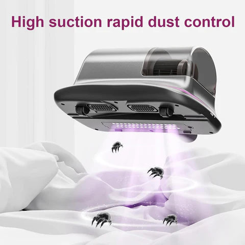 Clean Beyond the Surface: Mite-Free and Fresh Spaces