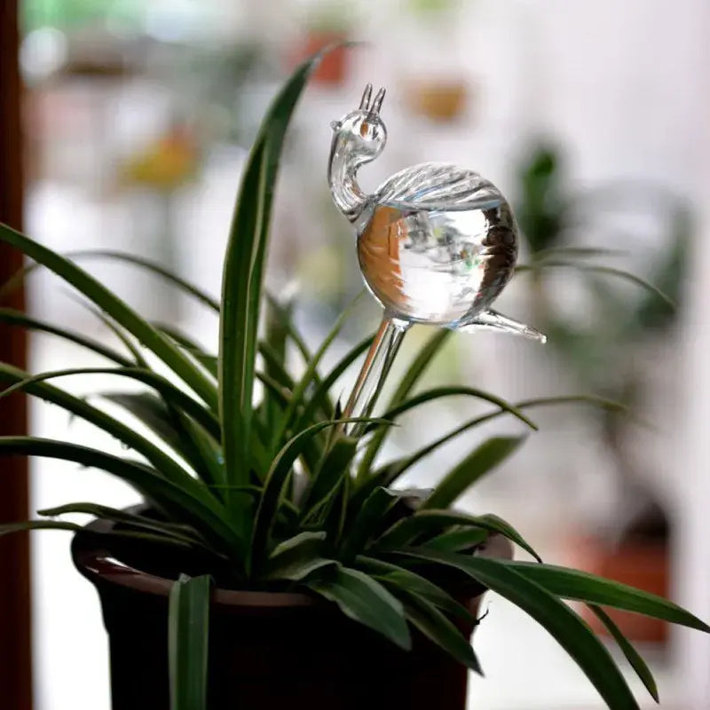 Glass Bird Watering Device