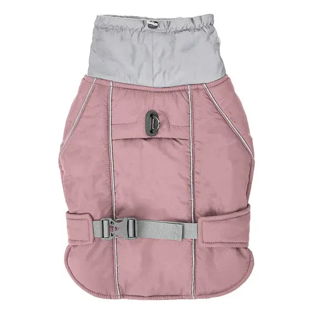 Premium Canine Winterwear