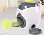 Smart Automated Pet Feeder