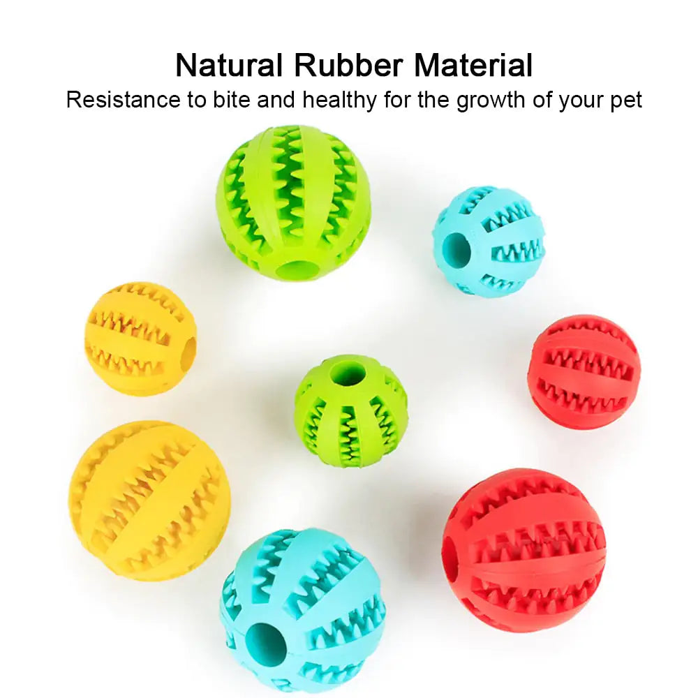 Interactive Cat Dog Rubber Ball