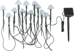 Garden Decorative Lighting