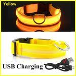 Yellow USB rechargeable LED dog collar with adjustable buckle and metal D-ring.
