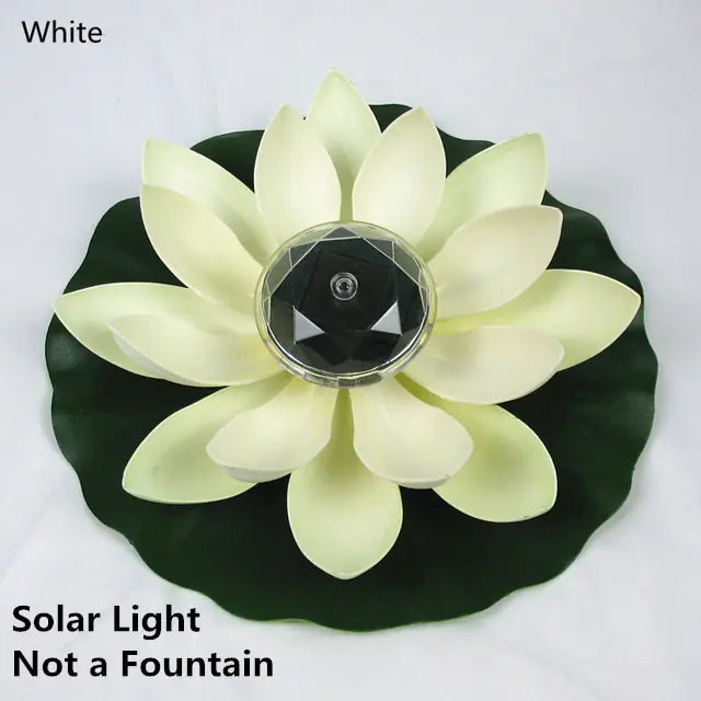 Solar-powered Aquatic Feature