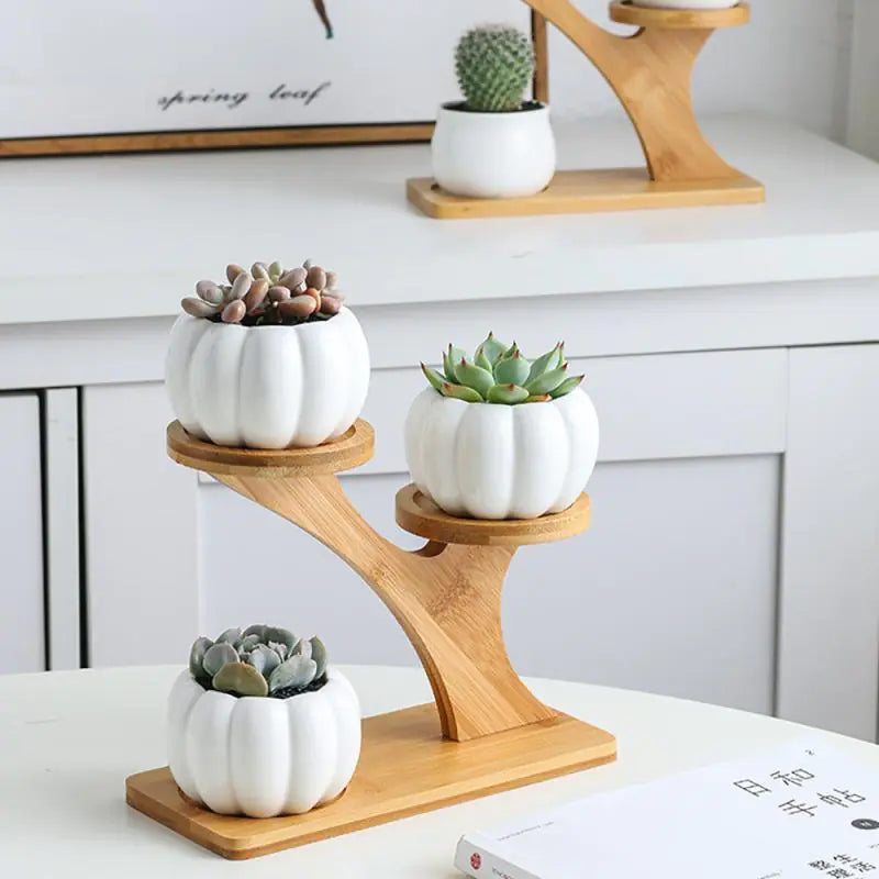 White Ceramic Flower Pots with Bamboo Stand