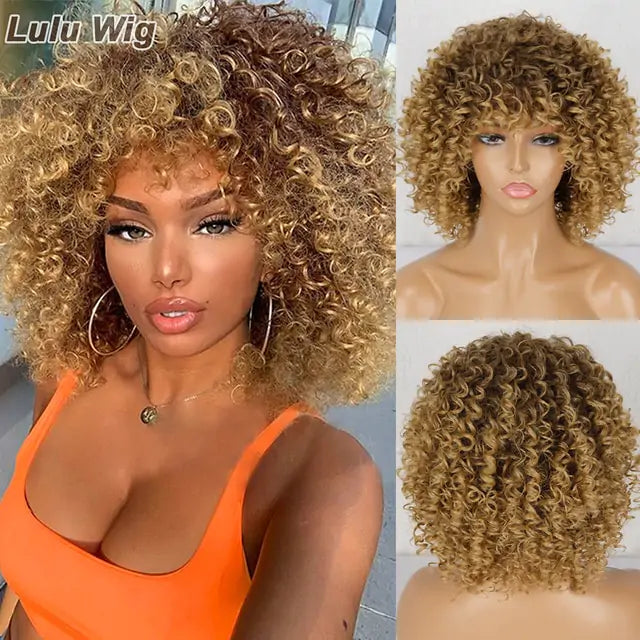 Sophisticated Afro Curly Wig