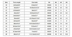 LED Fibre Optic Glowing Shoes Size Chart