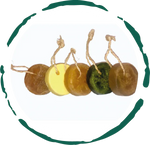 Organic Artisanal Soap Bars Collection