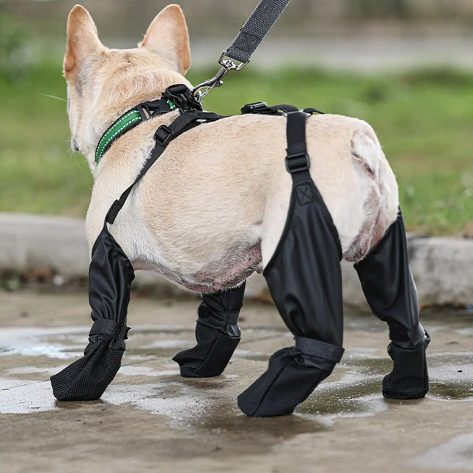 Dogs Paw Protection Suspender Boots