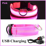 Pink LED pet collar with a buckle fastening, metal D-ring, glowing light strip, and USB charging cable.