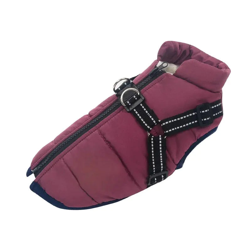 Thermal Pet Coat