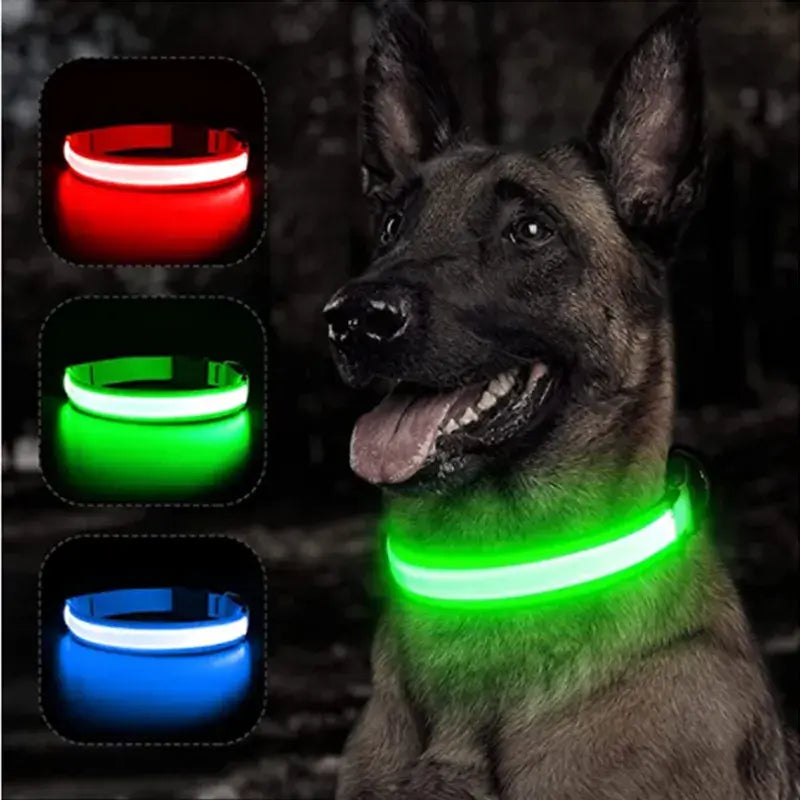 Adjustable Flashing Glowing Dog Collar