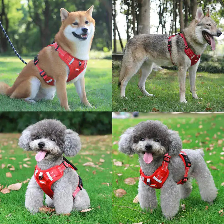 Dog Cat Reflective Harness Body Leash