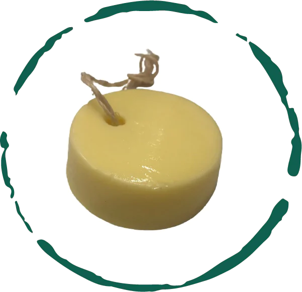 Wheat Olive Almond Oil Soap Bar