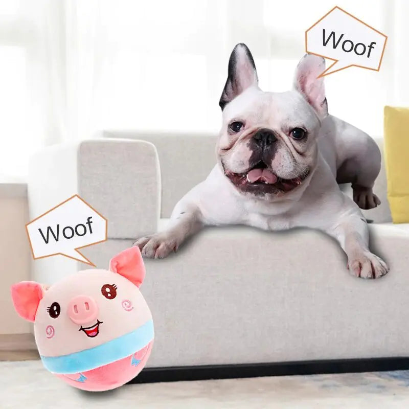 Auto Bounce Squeaky Dog Toy