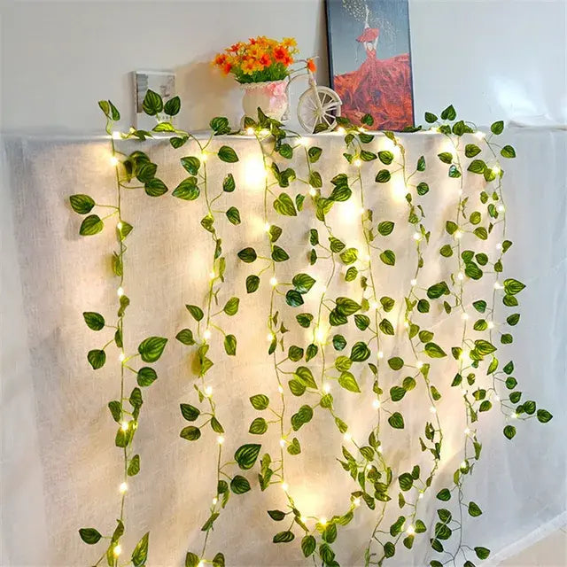 Indoor Outdoor String Lights