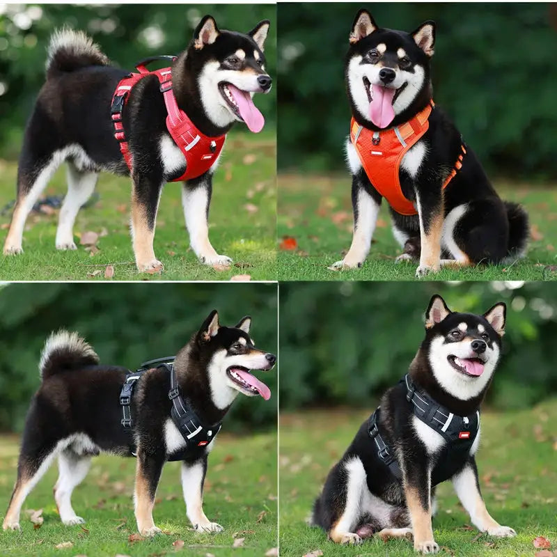 Dog's Reflective Stress- Relieving Harness