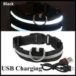 Collage showing a black reflective dog collar with a metal D-ring and buckle; top image shows the collar glowing brightly in the dark, bottom image shows the collar with a USB charging cable and the text “USB Charging” and “Black.”